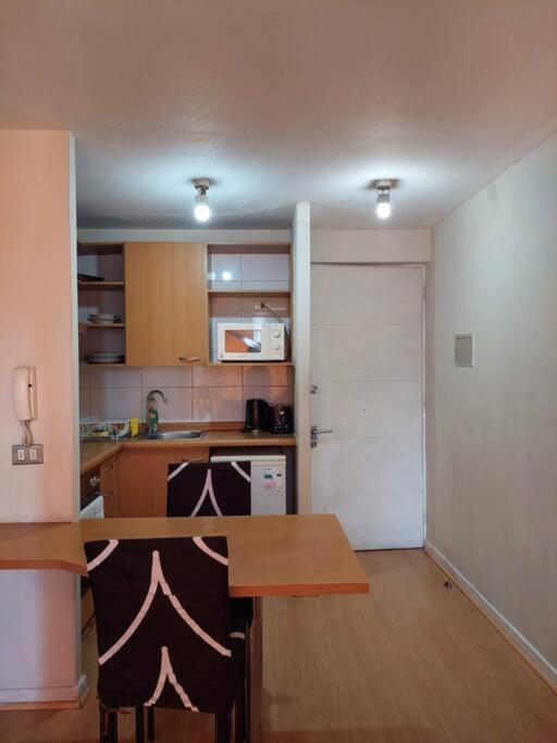 Departamento Amoblado Luna Segur *